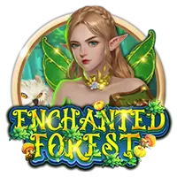 Enchanted Forest